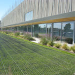 Thumbnail of 