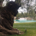 Thumbnail of 