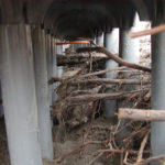 Thumbnail of 