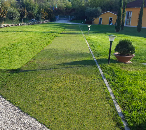 sistema de drenaje de rejilla en el césped con césped verde y